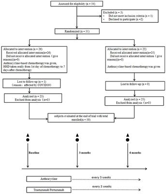 Effects of the Chinese herbal medicine Hong Huang decoction, on myocardial injury in breast cancer patients who underwent anthracycline-based chemotherapy